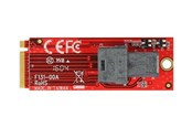 Festplatten Zubehör - DeLOCK - Interface Adapter - SAS 12Gb/s - M.2 Card - 62721