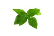 Smart-Home - Click & Grow Click and Grow - Smart Garden Refill 3-pack Thai Basil - SGR37X3