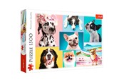 Puzzle - Trefl Puzzle - Puzzles Cute dogs (1500 pieces) Boden - TFL26186