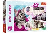Puzzle - Trefl Puzzle - Lovely kittens (160 pieces) Boden - TFL15371
