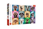 Puzzle - Trefl Puzzle - Funny dog portraits (1000 pieces) 2D Puzzles - TFL10462