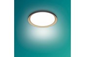 Lampen - Philips Pebblo UE Ceiling SS B 10W 40K - 929004116901