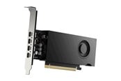 Grafikkarte - PNY RTX 2000 Ada Small Box - 16GB GDDR6 RAM - Grafikkarte - VCNRTX2000EADA-SB