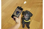 Handys - Anderes Zubehör - Kikkerland - Dog Treat Selfie Clip (DIG01) - DIG01
