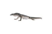 Figuren - Mojo - Wildlife Perentie Lizard - 381061 - 381061