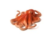 Figuren - Mojo - Sealife Octopus - 387275