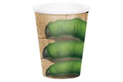 Spielzeug - Haza Witbaard - Dino Cups 8pcs. - PC375012
