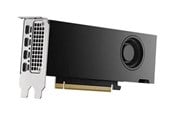 Grafikkarte - Dell RTX 2000 Ada - 16GB GDDR6 RAM - Grafikkarte - DELL-M7X81