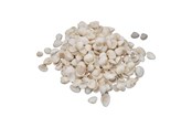 Kunst & Handwerk Ausstattung - Colorations - Small Ark Shells 500 grams - 38WD12