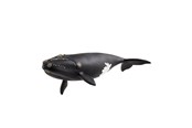 Schleich - Schleich Nordatlantischer Glattwal - 14878
