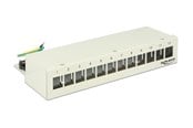 Netzwerkzubehör - DeLOCK Keystone Desktop Patch Panel - 12 Ports - 43335