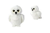 Plush - Harry Potter WB -  Hedwig (25cm) - 6305870310NPB