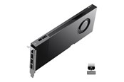 Grafikkarte - NVIDIA RTX PRO 4000 Blackwell Bulk - 24GB GDDR7 RAM - Grafikkarte - 900-5G147-2270-000