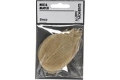 Kunst & Handwerk Ausstattung - Creativ Company - Skeleton Leaves Natural Dried Leaves 20 pcs. - 504493