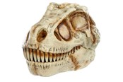 Figuren - Gross-a-saurus GrossMos Dino - assorted - 0035051521532