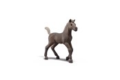 Schleich - Schleich Sammelfohlen Darcy - 81460