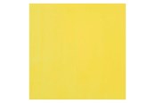 Kreativ-Spiele - Bruynzeel Ecola Poster Paint Bottle 16ml Lemon Yellow (Primary) 205 - 09162050