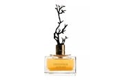 Parfüm und Düfte - Aurora Deciduous Autumn Eau De Parfum For Women 100 ml - 100 ml0 - 6290360540269