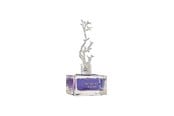 Parfüm und Düfte - Aurora Deciduous Winter Eau De Parfum For Women 100 ml - 6290360540290