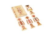 Baby Spielzeug - Bigjigs Wooden Anatomy Puzzle - Girl 26pcs. - 37022