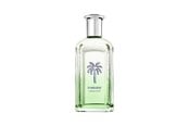 Parfüm und Düfte - Tommy Hilfiger - Tommy Endless Summer - 100 ml - 100 ml0 - 64268