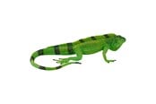 Figuren - Mojo Wildlife Iguana - 381095