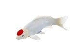 Figuren - Mojo Sealife Koi Carp - Tancho Koi - 381101