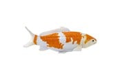 Figuren - Mojo Sealife Koi Carp - Ochiba Shigure Koi - 381104