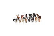 Figuren - Mojo Play Animals School Package 23 pcs. - 8450001