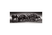 Puzzle - Clementoni Jigsaw Puzzle Herd of Giants 1000pcs. Boden - 39895