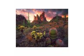 Puzzle - Ravensburger Jigsaw puzzle Cactus 500 pcs. Boden - 12001380