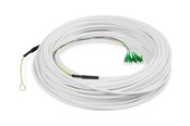 Netzwerk - Kabel - DIGITUS network cable - 50 m - white - Weiß - 50m - DK-3904LCA-50