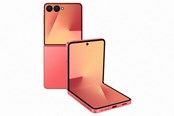 Handys & Smartphones - Samsung Galaxy Z Flip7 256GB/12GB - Coralred - SM-F766BZRGEUB