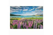Puzzle - Clementoni Jigsaw Puzzle Flowers at Lake Tekapo 1500pcs. Boden - 31728
