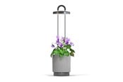 Gartengeräte - Click & Grow HydroVase Indoor Plant Care Kit with LED Light Self-Watering and Automatic Timer - Gray - CGHVGEU