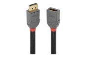 Display Kabel - Lindy Anthra Line - DisplayPort extension cable - DisplayPort to DisplayPort - 50 cm - 36498
