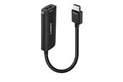 Display Kabel - Lindy adapter - 15.7 cm - 38327