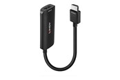 Display Kabel - Lindy adapter cable - 15.7 cm - 38329