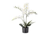 Einrichtung - Bloomingville Orchid - 82061501