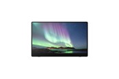 Monitor - 15.6" Ricoh 150BW - OLED monitor - Full HD (1080p) - 514910