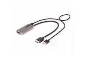 Display Kabel - StarTech.com HDMI to DisplayPort Adapter 8K 60Hz Active Video Converter - adapter cable - 30 cm - 148B-HDMI-DP-8K