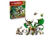 Spielküche & Zubehör - LEGO Der Drache des Lebens - 71859