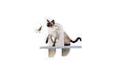Katzen - AFP - Skywalk Groom & Play Platform - Wall-mounted - 2271