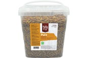 Essen, Snacks & Vitamine - Hobby First - Pure Mealworms - 850g - 5400515011532