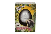 Figuren - Pocket Money Growing Dinosaur Egg 6cm - assorted - 620370