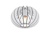 Lampen - EGLO STELLATO DECKE Ø300 WEISS - 95028
