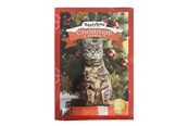 Katzen - Treat Time Weihnachts-Adventskalender für Katzen - 50999