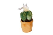 Kleine Mitbringsel für Kinder - Take Me Home Plants Plush S 12-17cm 3asst. - 660572
