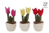 Kleine Mitbringsel für Kinder - Pocket Money Plants Plush tulip 25cm - assorted - 660627