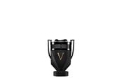 Parfüm und Düfte - PACO RABANNE Invictus Victory Absolu - 50 ml - 3349668641826